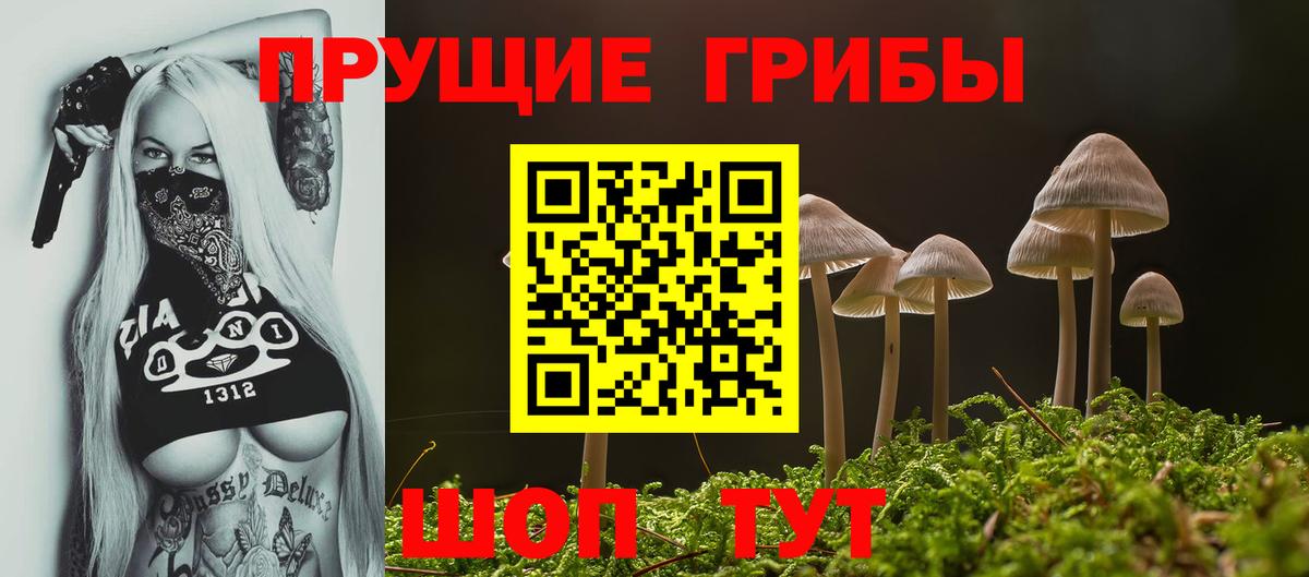 Галлюциногенные грибы мухоморы Ачхой-Мартан