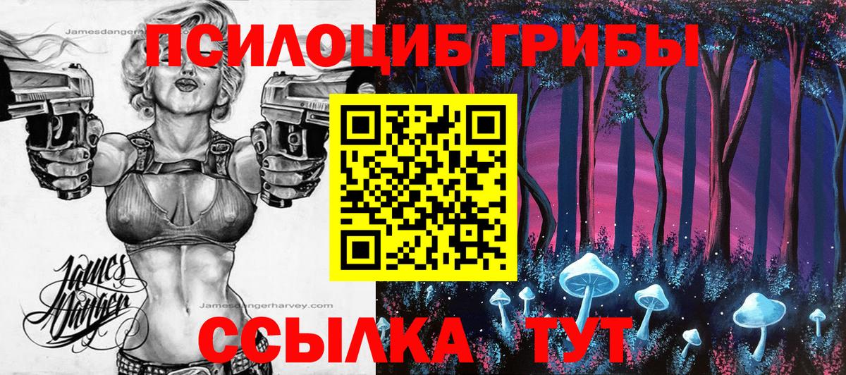 Ачхой-Мартан  цена наркотик  Псилоцибиновые грибы ЛСД  Вход с VPN  Галлюциногенные грибы мицелий 