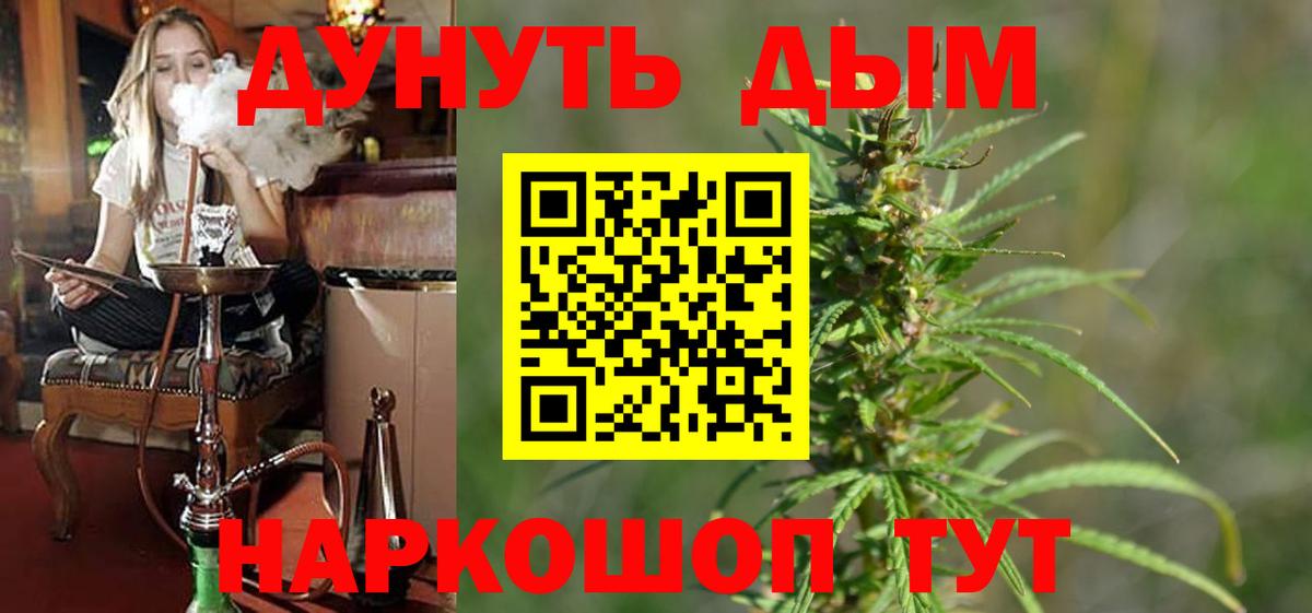 Канабис сатива Ачхой-Мартан