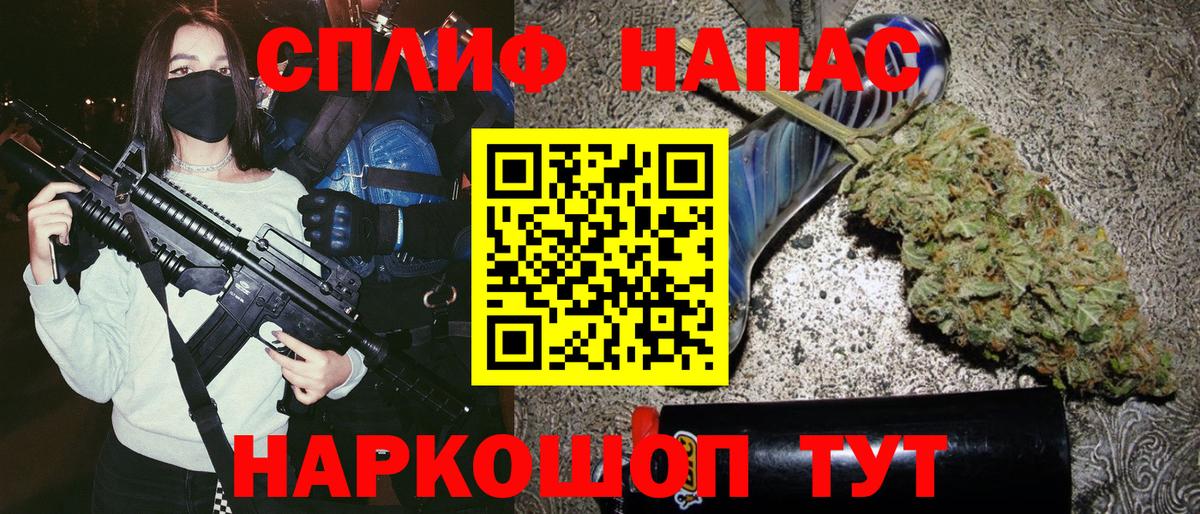 Каннабис сатива Ачхой-Мартан